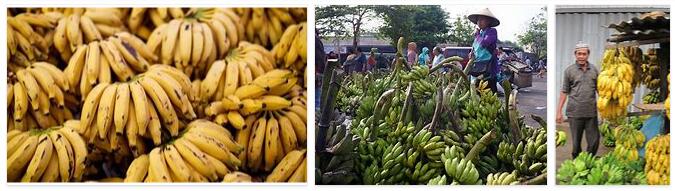 Indonesia bananas