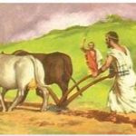Italy Early Agricultural Culture Part I