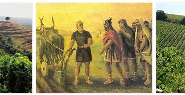 Italy Early Agricultural Culture 2