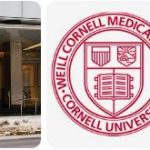 Cornell University Weill Medical College