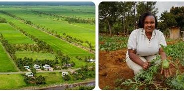 Guyana Agriculture