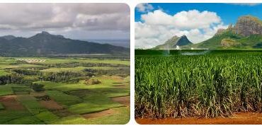 Mauritius Agriculture