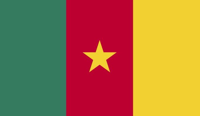 National Flag of Cameroon